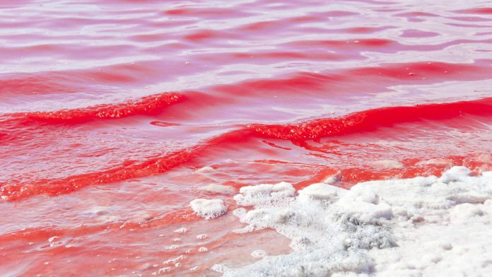 Lake-Hillier-color-is-bright-pink