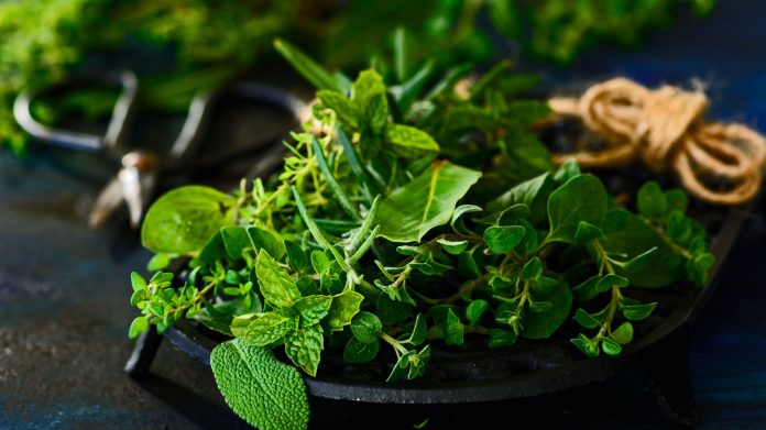 various-fresh-herbs-907728974-cc6c2be53aac46de9e6a4b47a0e630e4