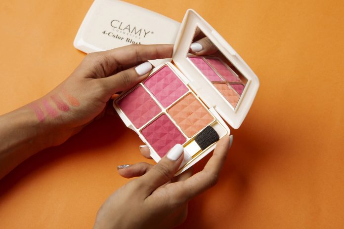 clamy-blusher-palette-4517879_1920