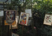 Akvarely Erika Sikoru nájdete medzi motýľmi v košickej botanickej záhrade