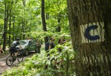 Mestské lesy Košice apelujú na ohľaduplnosť, cyklisti sa o cesty delia s lesnými robotníkmi