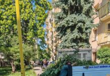 Letná údržba verejných priestranstiev v Košiciach-Juh