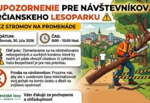 Orez konárov vo Furčianskom lesoparku obmedzí pohyb návštevníkov