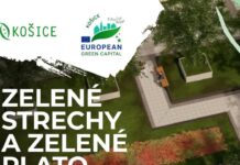 Košice rozširujú zelené strechy na verejných budovách