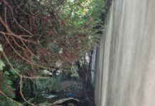 Odstránenie provizórnych ležovísk na Južnej triede v Košiciach