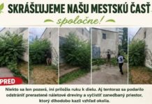 Aktivační pracovníci revitalizovali verejné priestory na Juhu