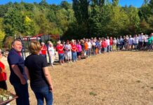Športové hry seniorov v Košiciach: Víťazstvo pre Sever