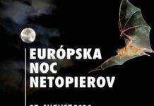 Európska noc pre netopiere v ZOO Košice sa uskutoční 27. augusta
