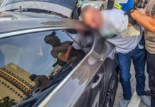 V Košiciach zadržali cudzinca, na ktorého bol vydaný európsky zatýkací rozkaz