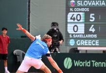 Slovenskí tenisti triumfovali nad Gréckom v Davisovom pohári