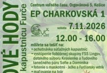Kapustové hody na Furči opäť v novembri