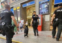 POLICAJNÁ AKCIA NA KOĽAJÁCH: Zamestnanec železničnej dopravy bol opitý