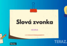 Slová zvonka: Slovo ikona získalo v priebehu času viac významov