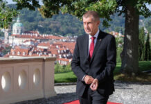Babiš rokoval s Pavlom, stretávať sa budú podľa potreby