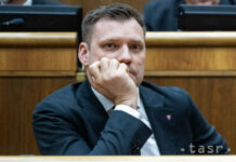 M. Řádek: V spore Tarabu a Danka má silnejšiu pozíciu SNS